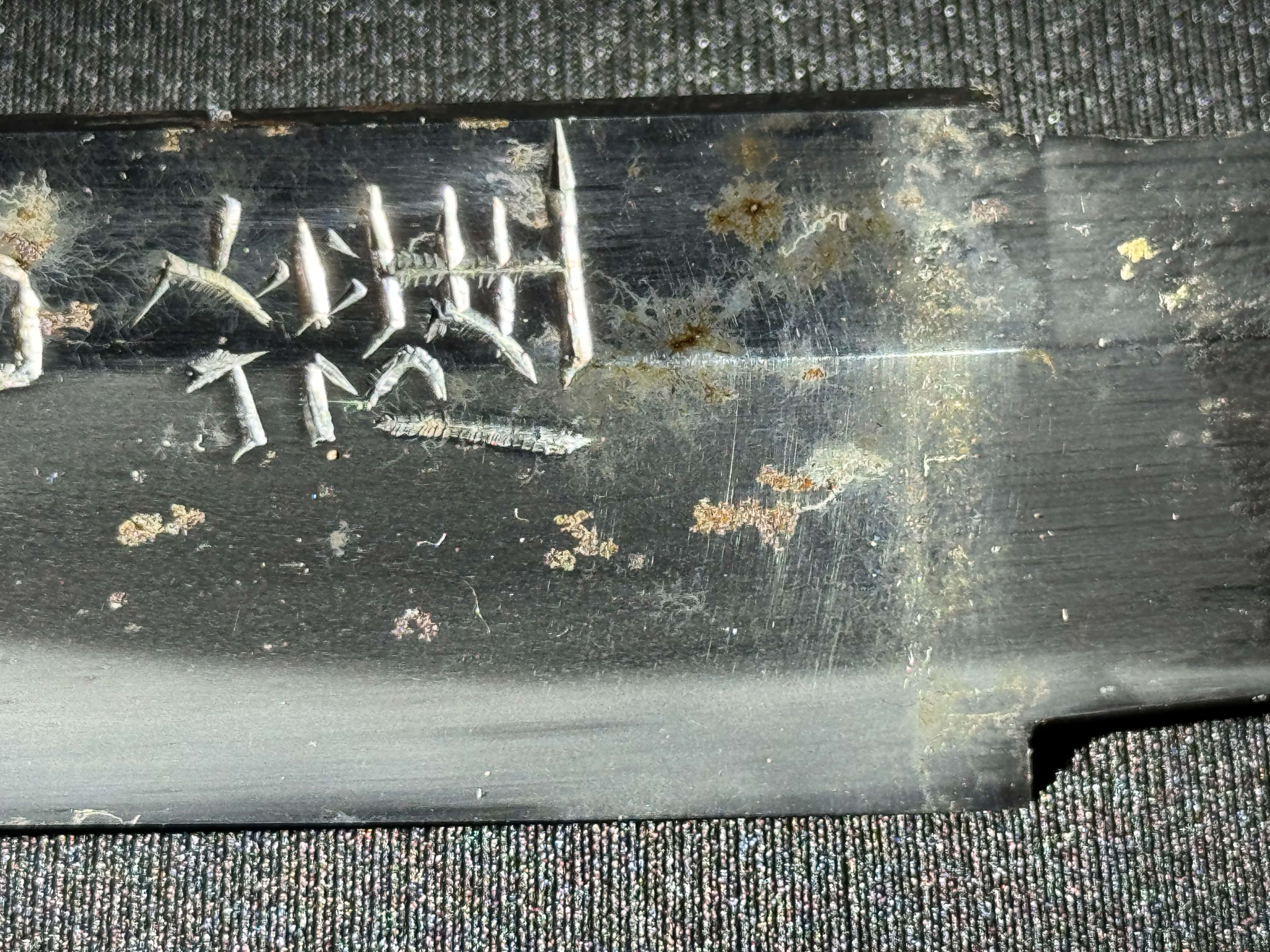 Antique Nihonto - Katana in Koshirae