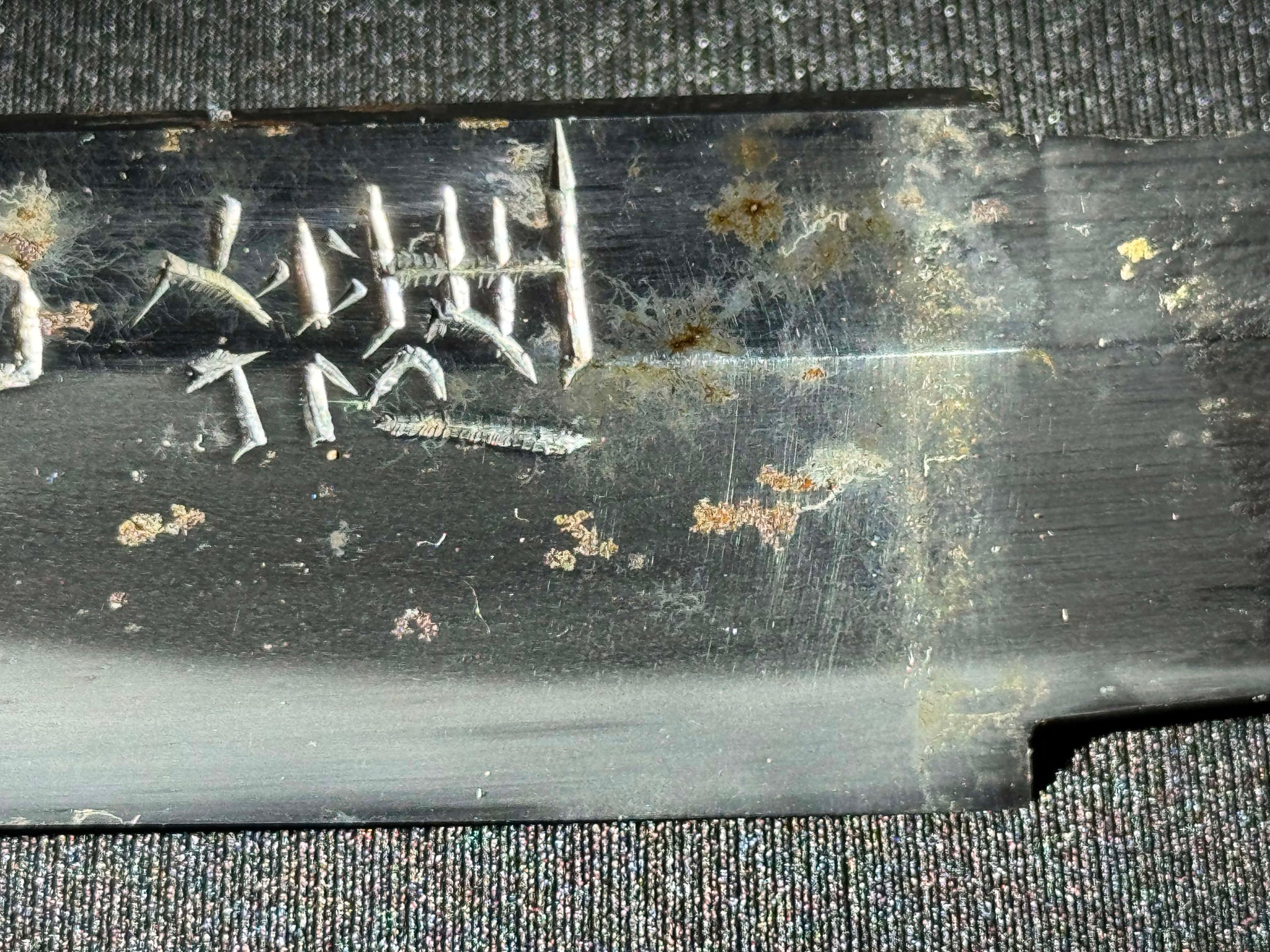 Antique Nihonto - Katana in Koshirae