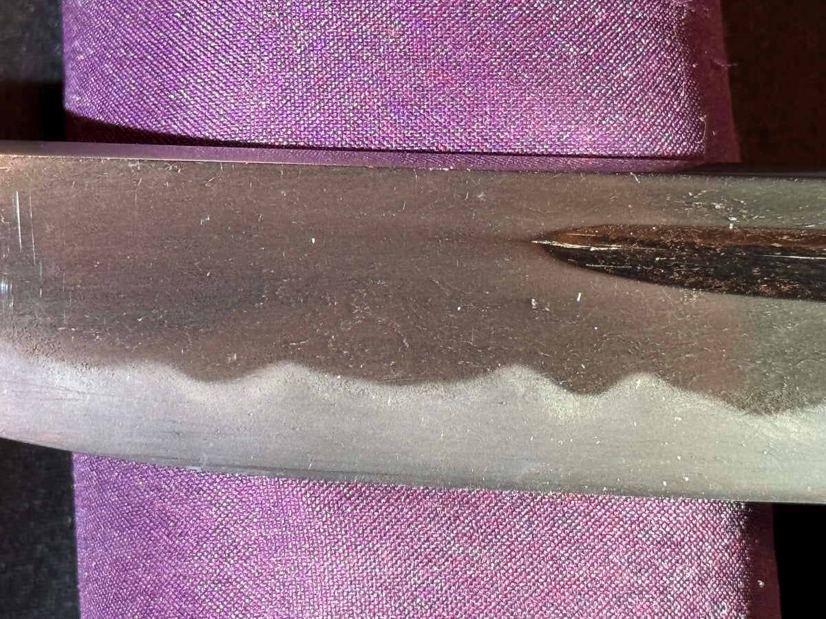 Antique Nihonto - Wakizashi with koshirae, Tsunagigaki attributed to Shimosaka