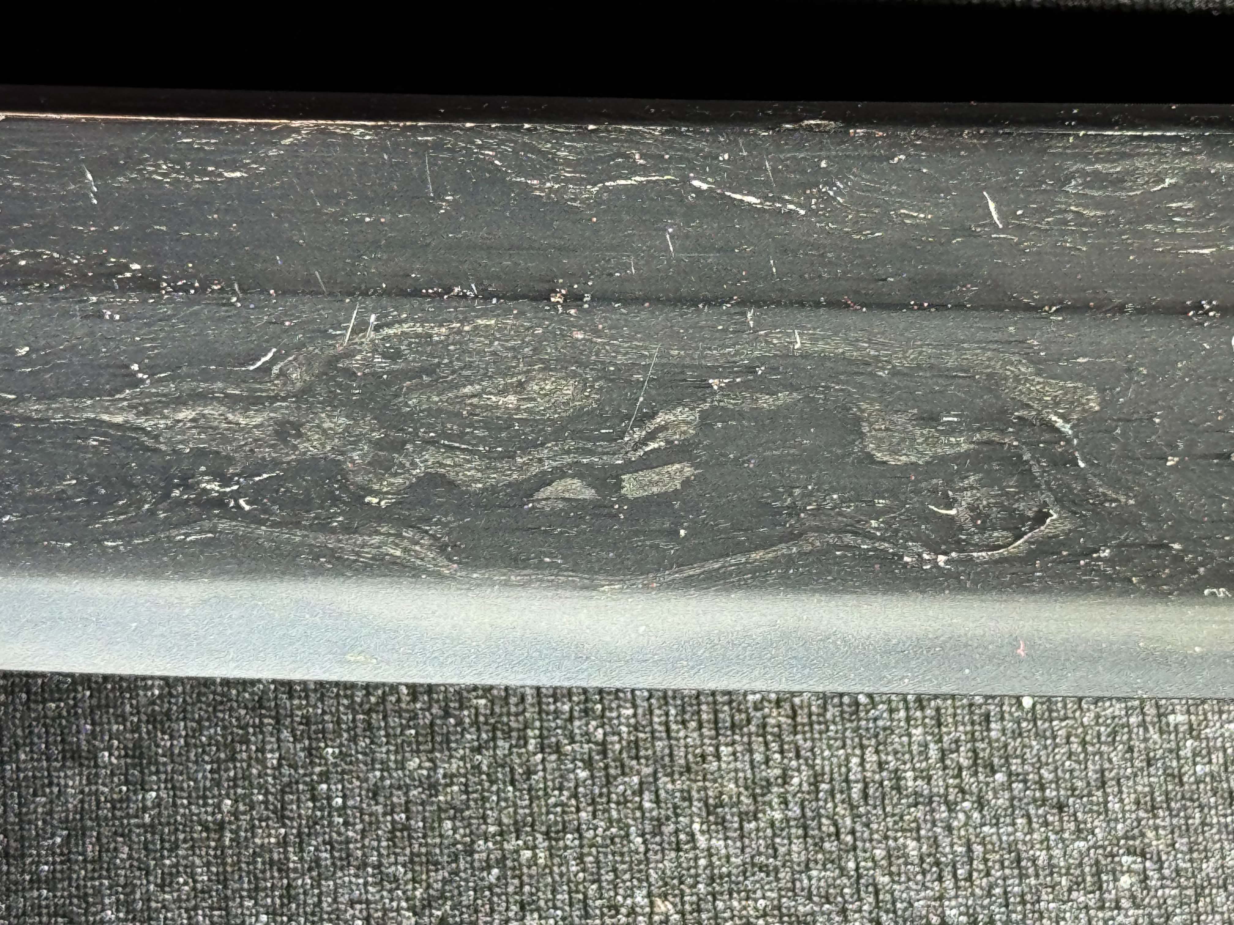 Antique Nihonto - HUGE Katana in Handachi Koshirae - Early Muromachi (600 years old) - NBTHK Attributed to Latter Hoju
