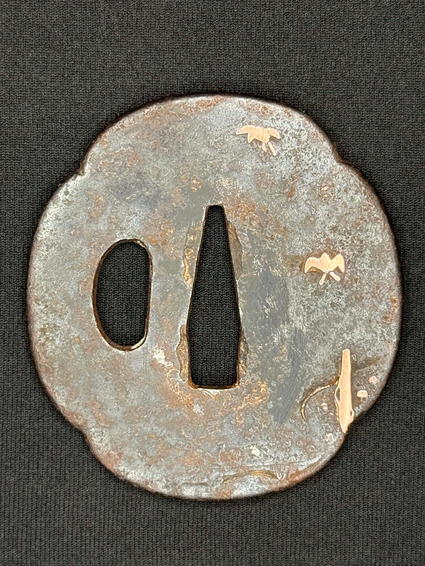Antique Nihonto - WIDE Naginata Naoshi Wakizashi in Koshirae, signed Chikushu Ju Sa (unverified)