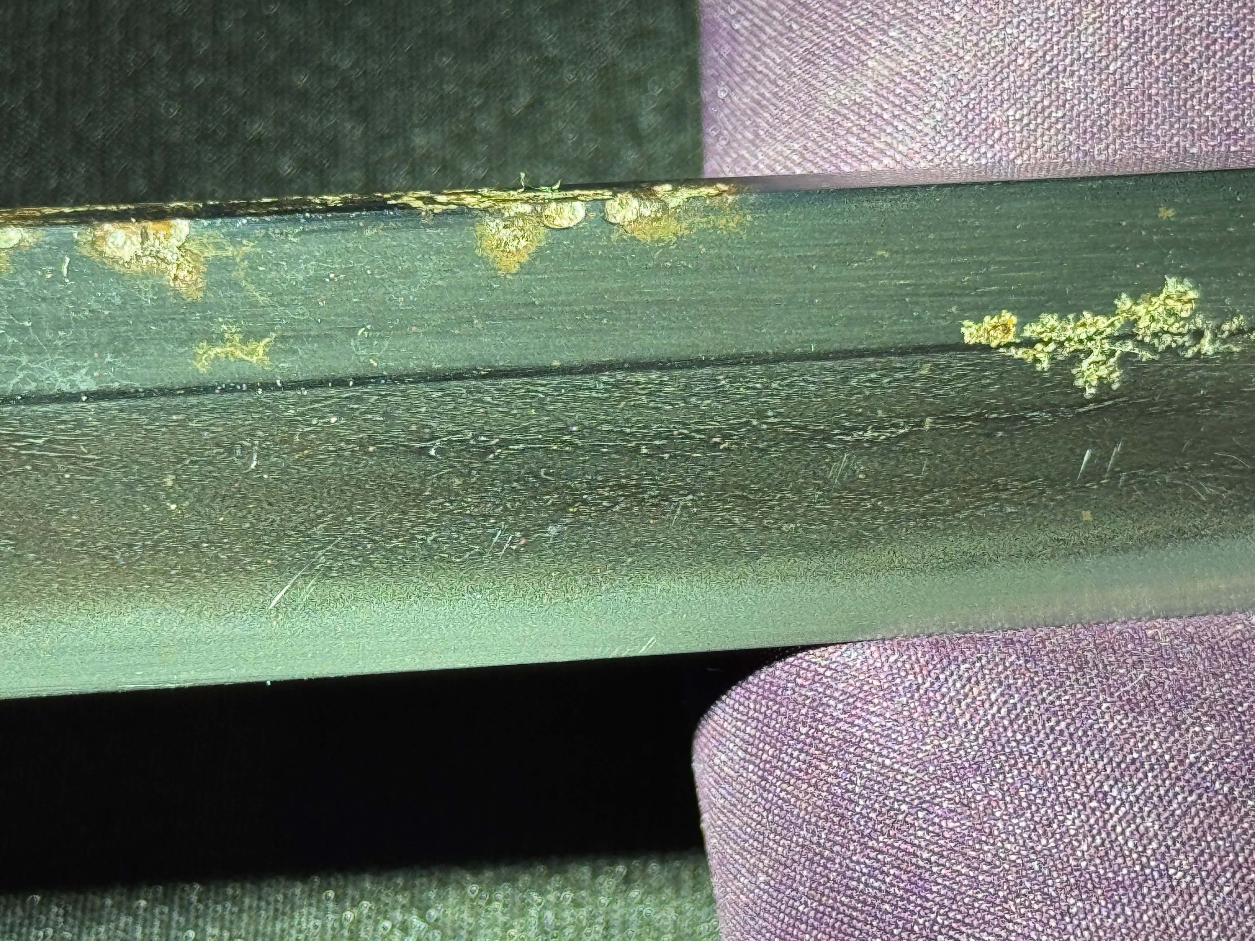Antique Nihonto - Late Edo (150 years old) LONG Katana in Shirasaya - Signed Shohoken Yoshiyuki , NBTHK certified