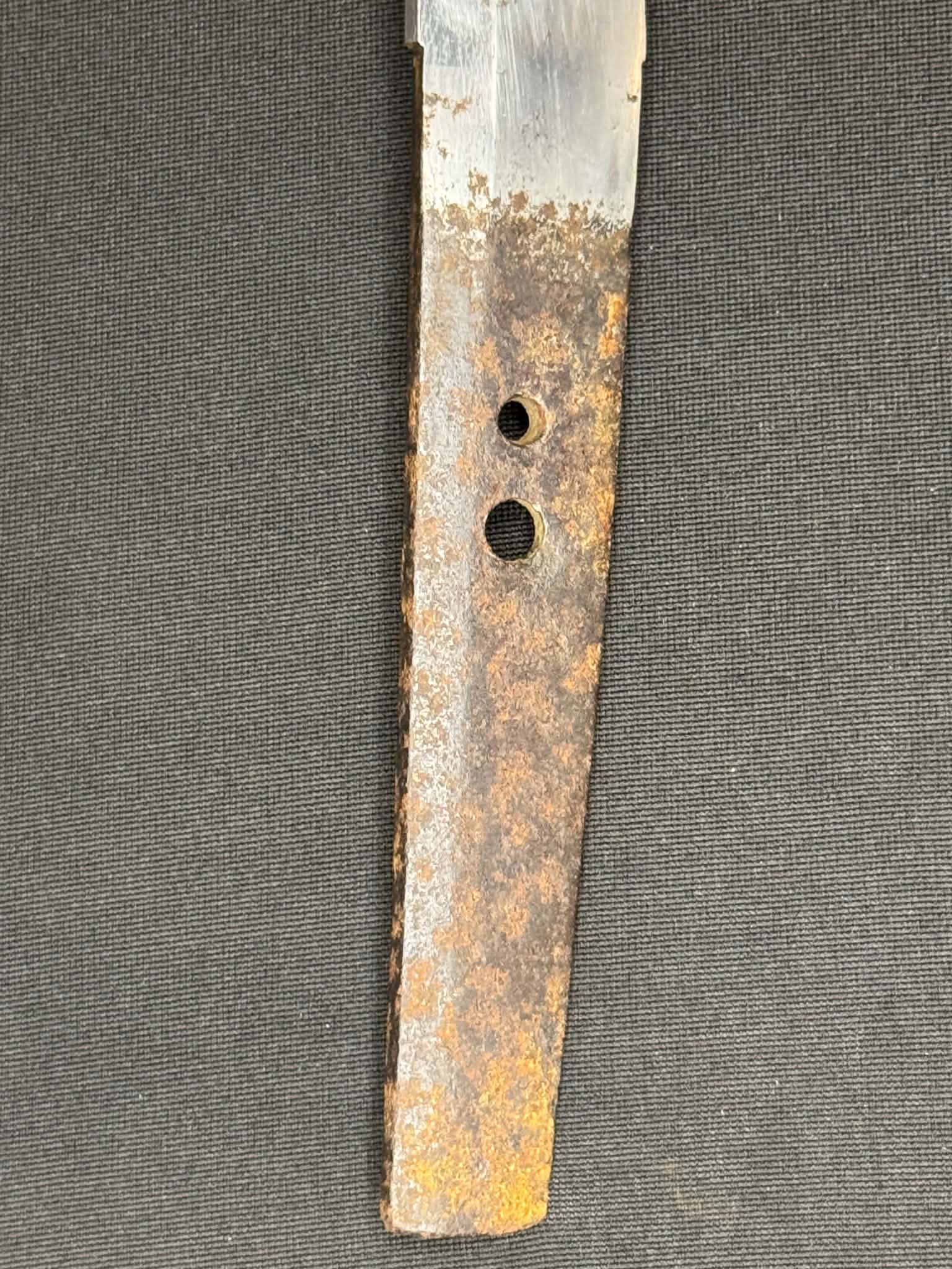 Antique Nihonto - Wakizashi in bull Koshirae