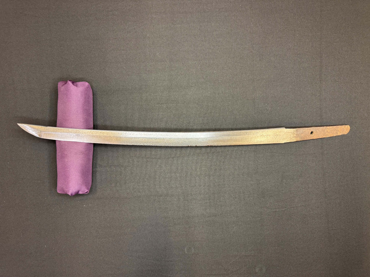 Antique Nihonto - Late Edo Wakizashi  with Shikomizue mounts (Stick Sword)