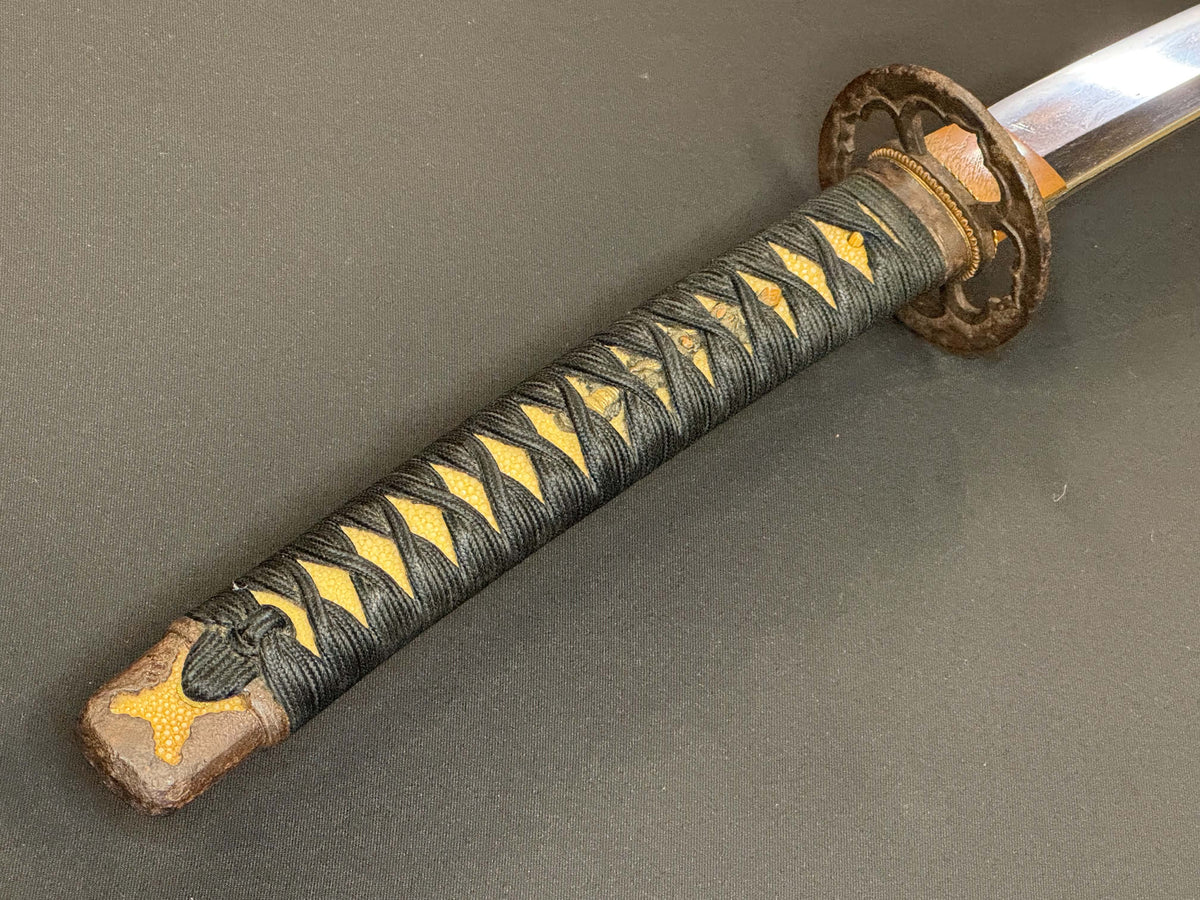 Antique Nihonto - HUGE Katana in Handachi Koshirae - Early Muromachi (600 years old) - NBTHK Attributed to Latter Hoju