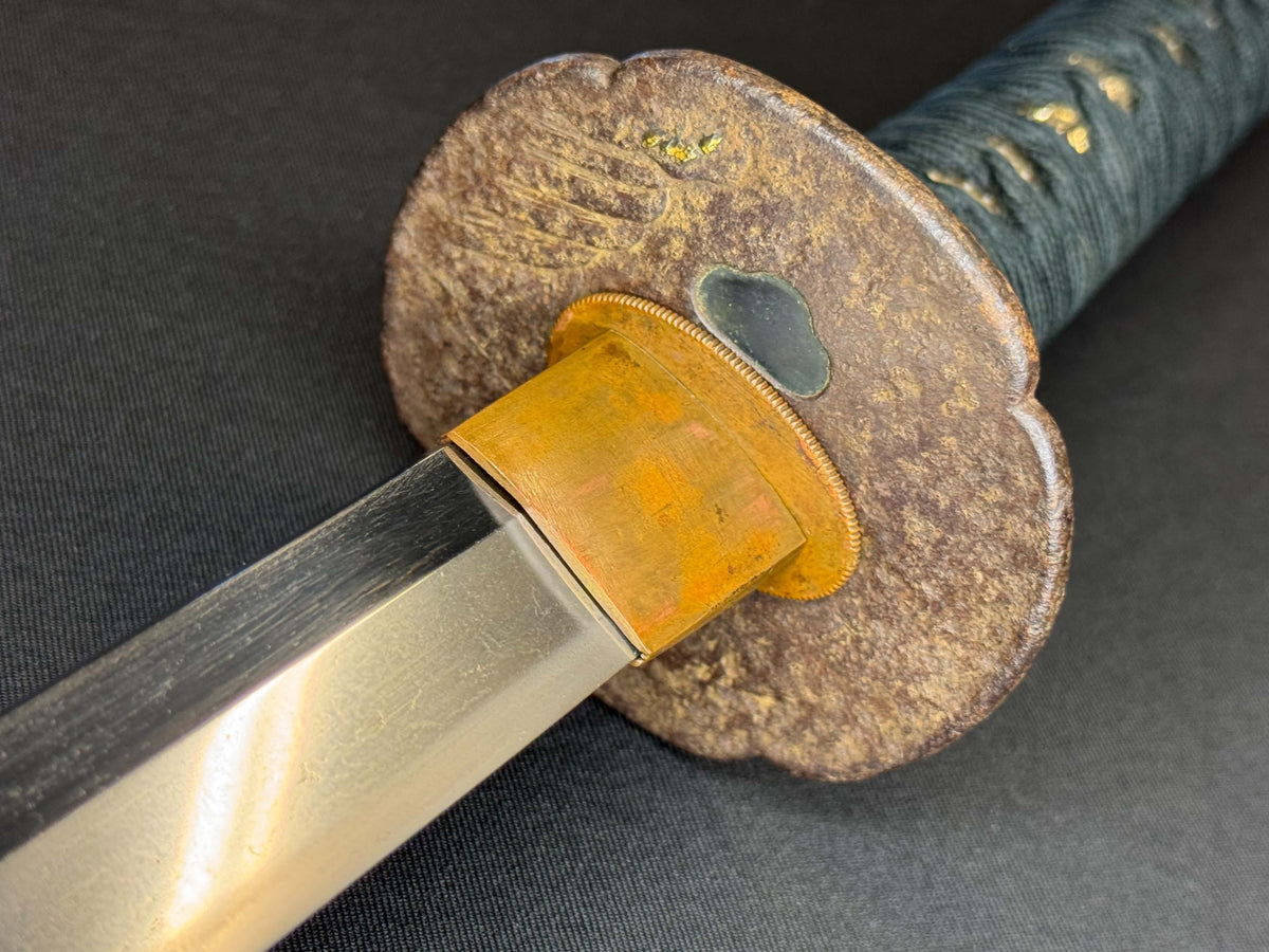 Antique Nihonto - Early Edo Katana in Koshirae, NBTHK attributed to Yamato No Kami Tadayuki, Dated Kyohou 6