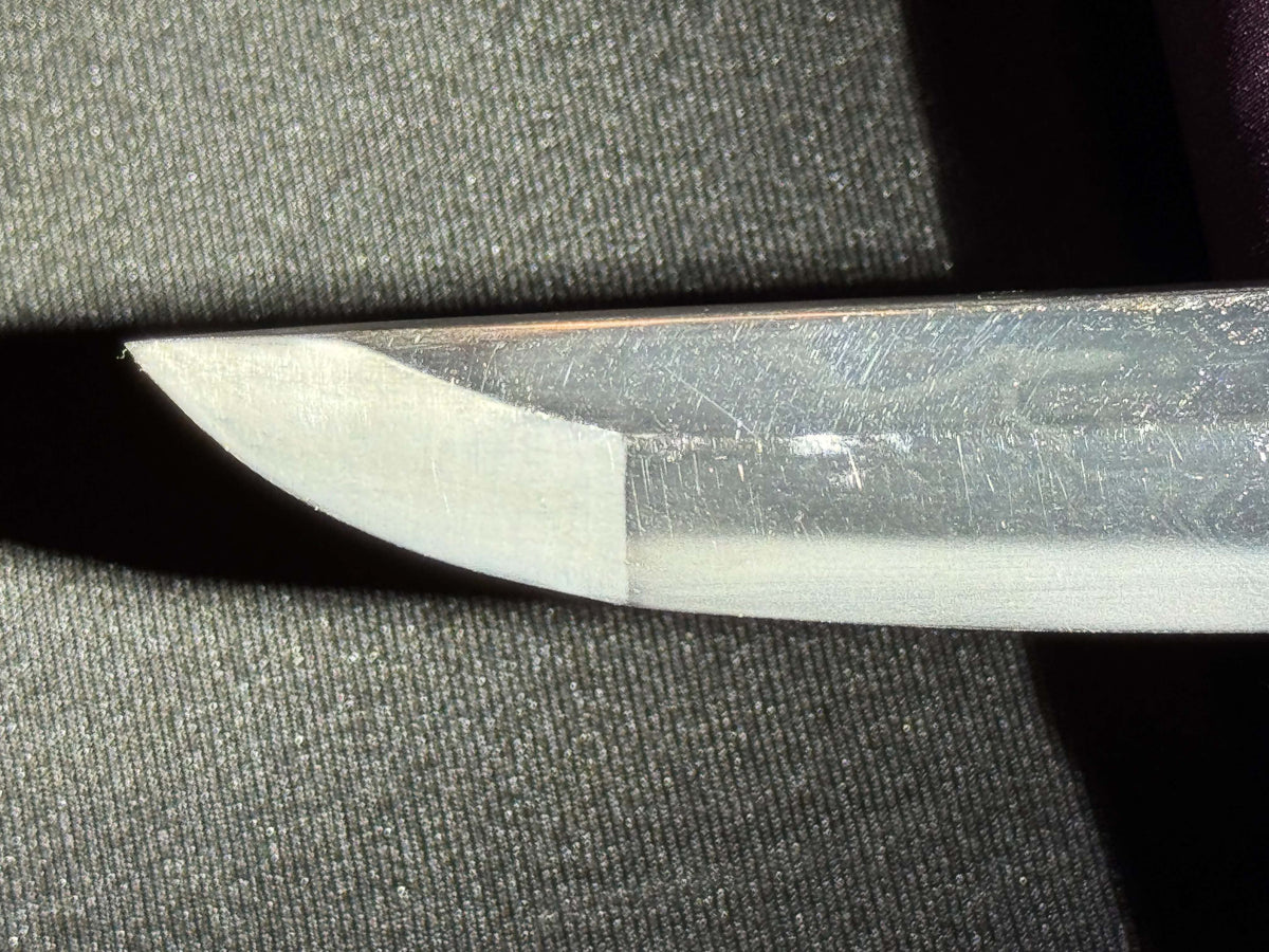 Antique Nihonto - HUGE Katana in Handachi Koshirae - Early Muromachi (600 years old) - NBTHK Attributed to Latter Hoju