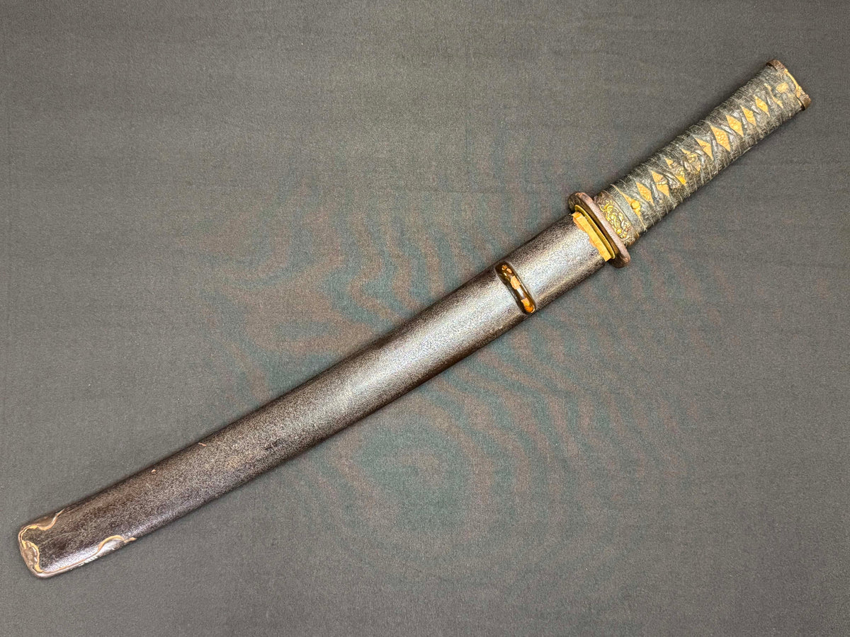 Antique Nihonto - Wakizashi with koshirae, Tsunagigaki attributed to Shimosaka
