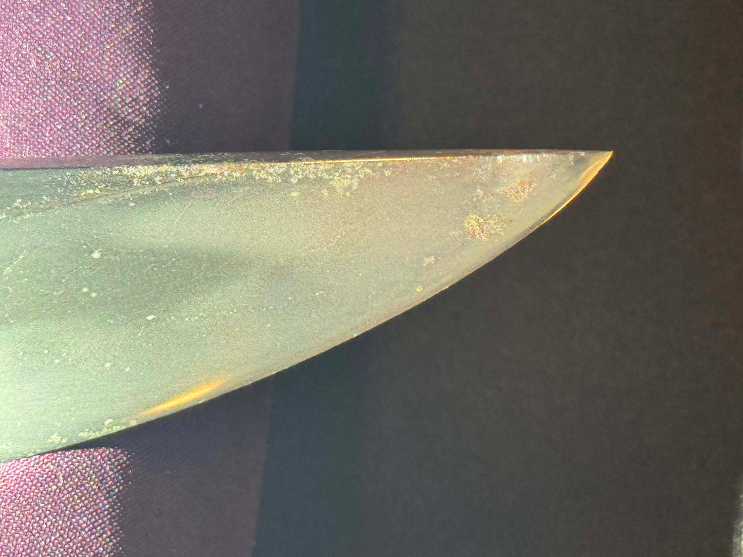 Antique Nihonto - Naginate naoshi in Wakizashi in Koshirae
