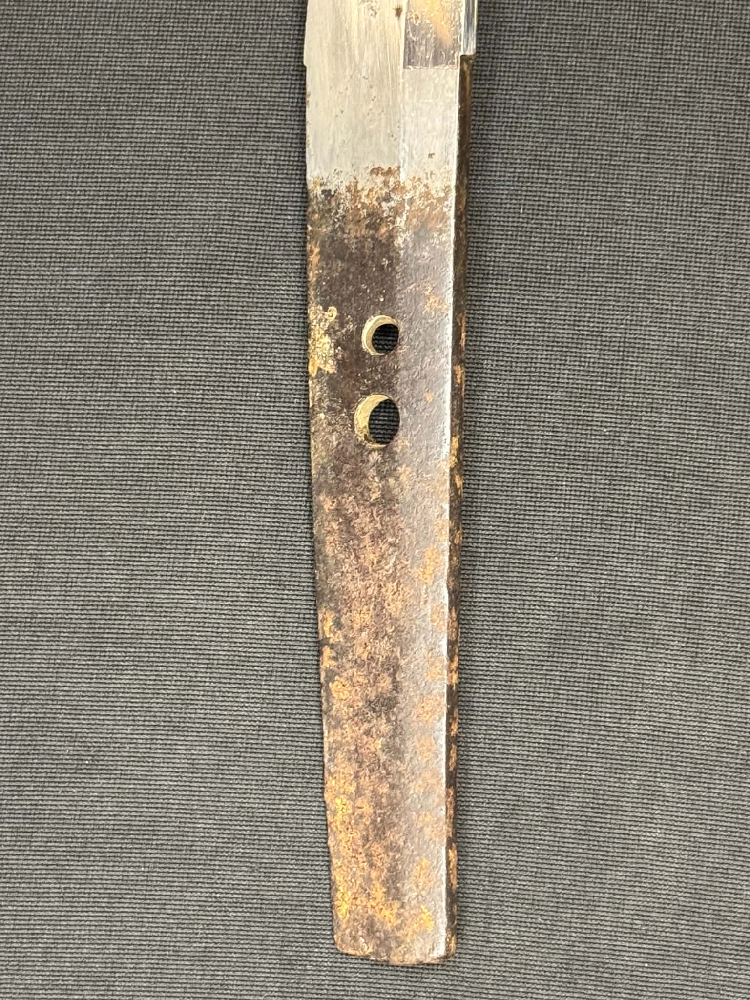 Antique Nihonto - Wakizashi in bull Koshirae