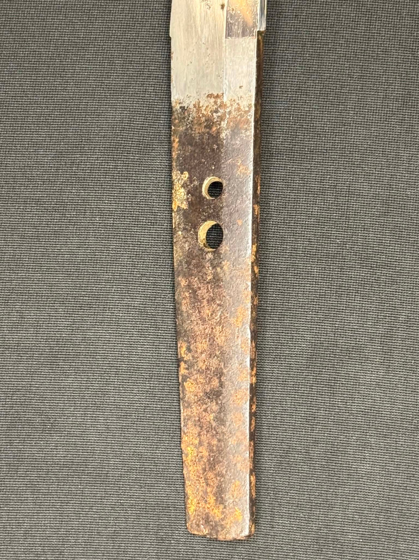 Antique Nihonto - Wakizashi in bull Koshirae