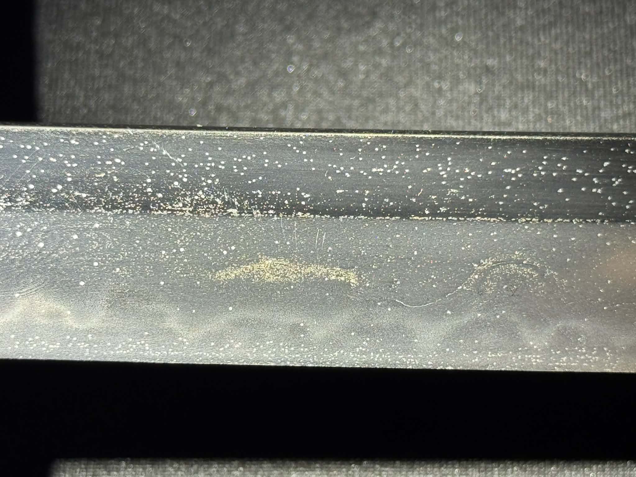 Antique Nihonto -  Katana in Koshirae - Signed Kunishige, First Year of Bunkyu (certified by NBTHK and NTHK)