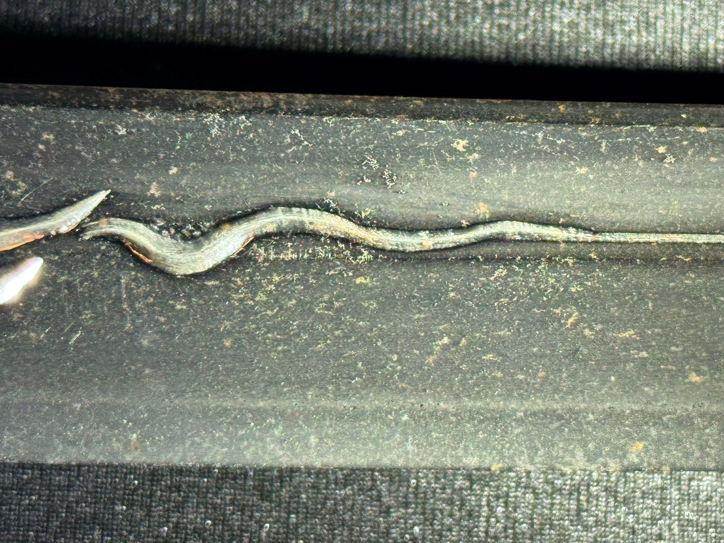 Antique Nihonto - Nagamaki Naoshi Katana in Shirasaya