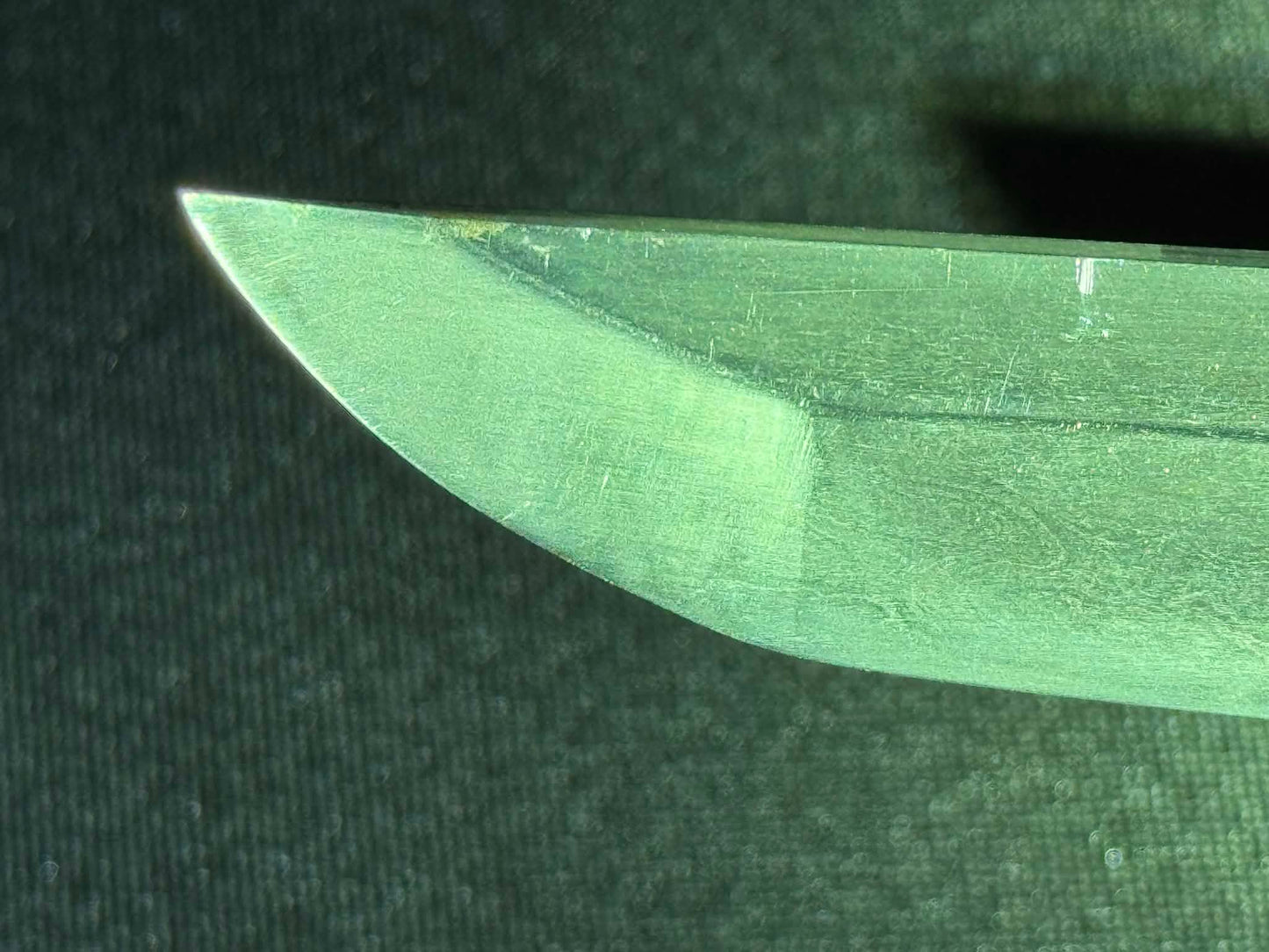 Antique Nihonto - Wakizashi in bull Koshirae