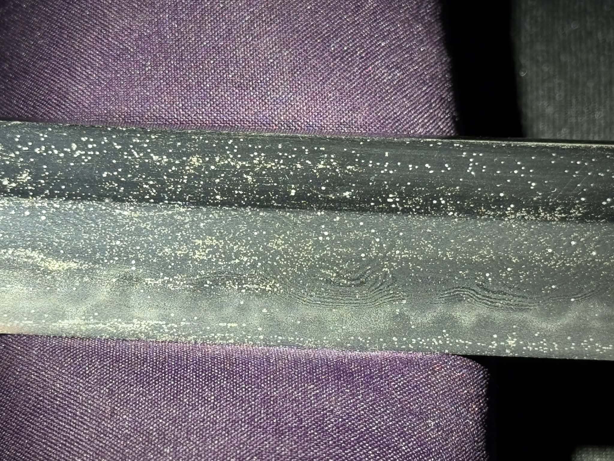 Antique Nihonto -  Katana in Koshirae - Signed Kunishige, First Year of Bunkyu (certified by NBTHK and NTHK)