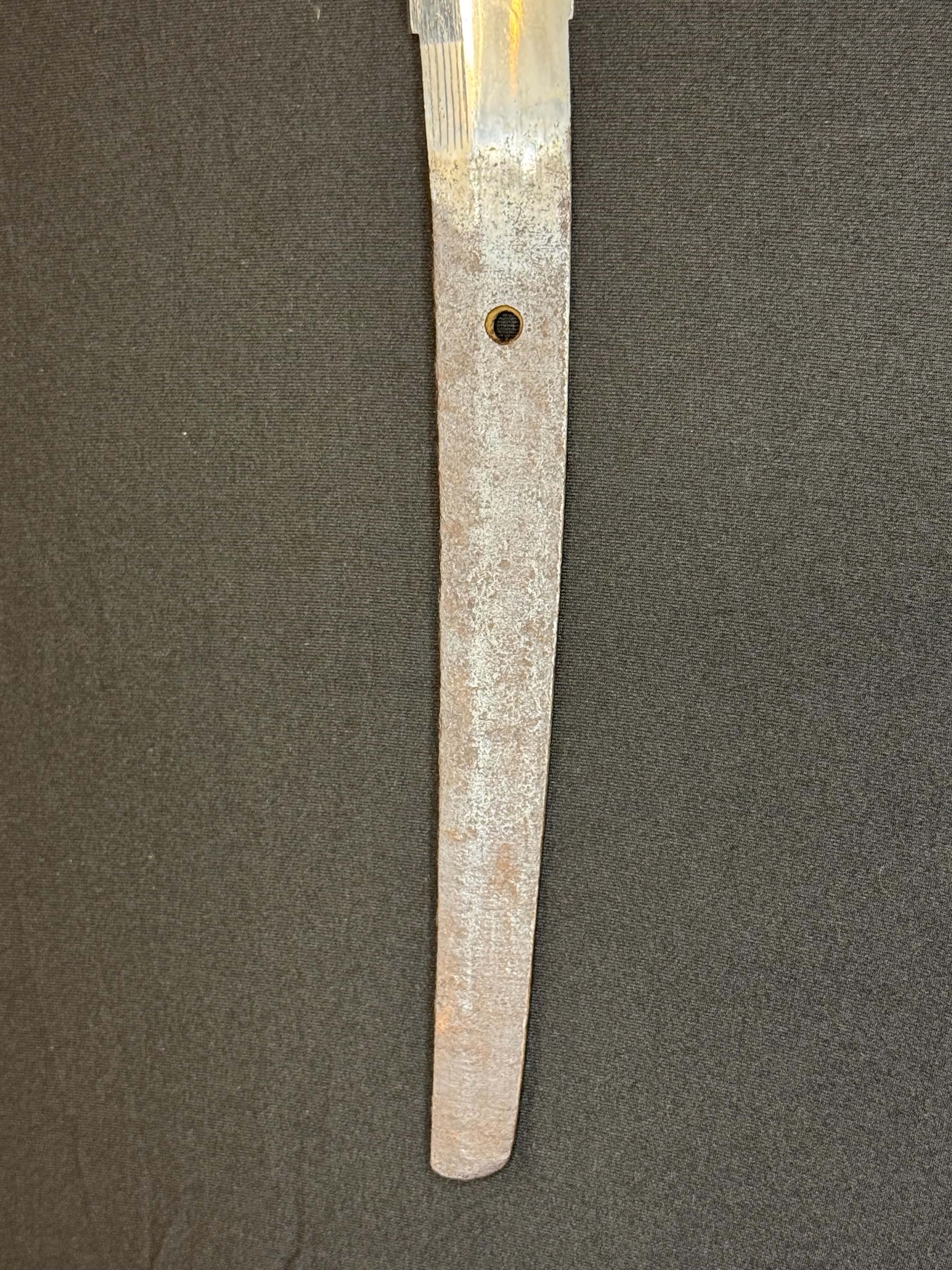 Antique Nihonto - HUGE Katana in Handachi Koshirae - Early Muromachi (600 years old) - NBTHK Attributed to Latter Hoju