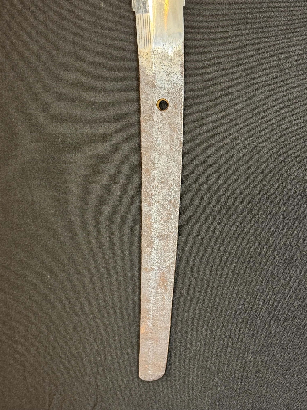 Antique Nihonto - HUGE Katana in Handachi Koshirae - Early Muromachi (600 years old) - NBTHK Attributed to Latter Hoju