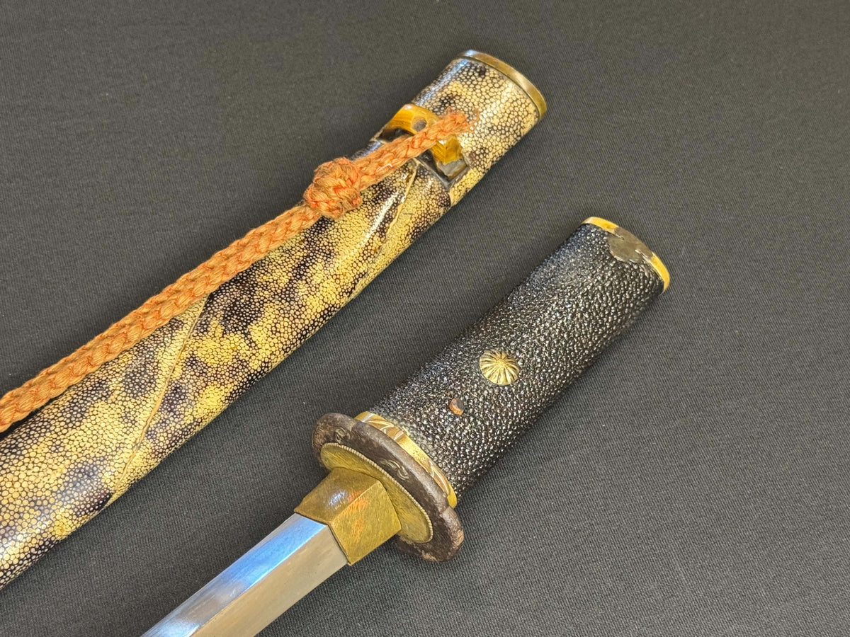 Antique Nihonto - Yari in Tanto Koshirae