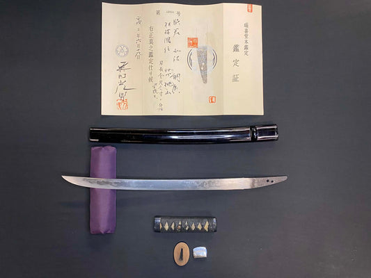Antique Nihonto - Wakizashi in Koshirae - attributed to Tsunahiro by Shibata Matsuo