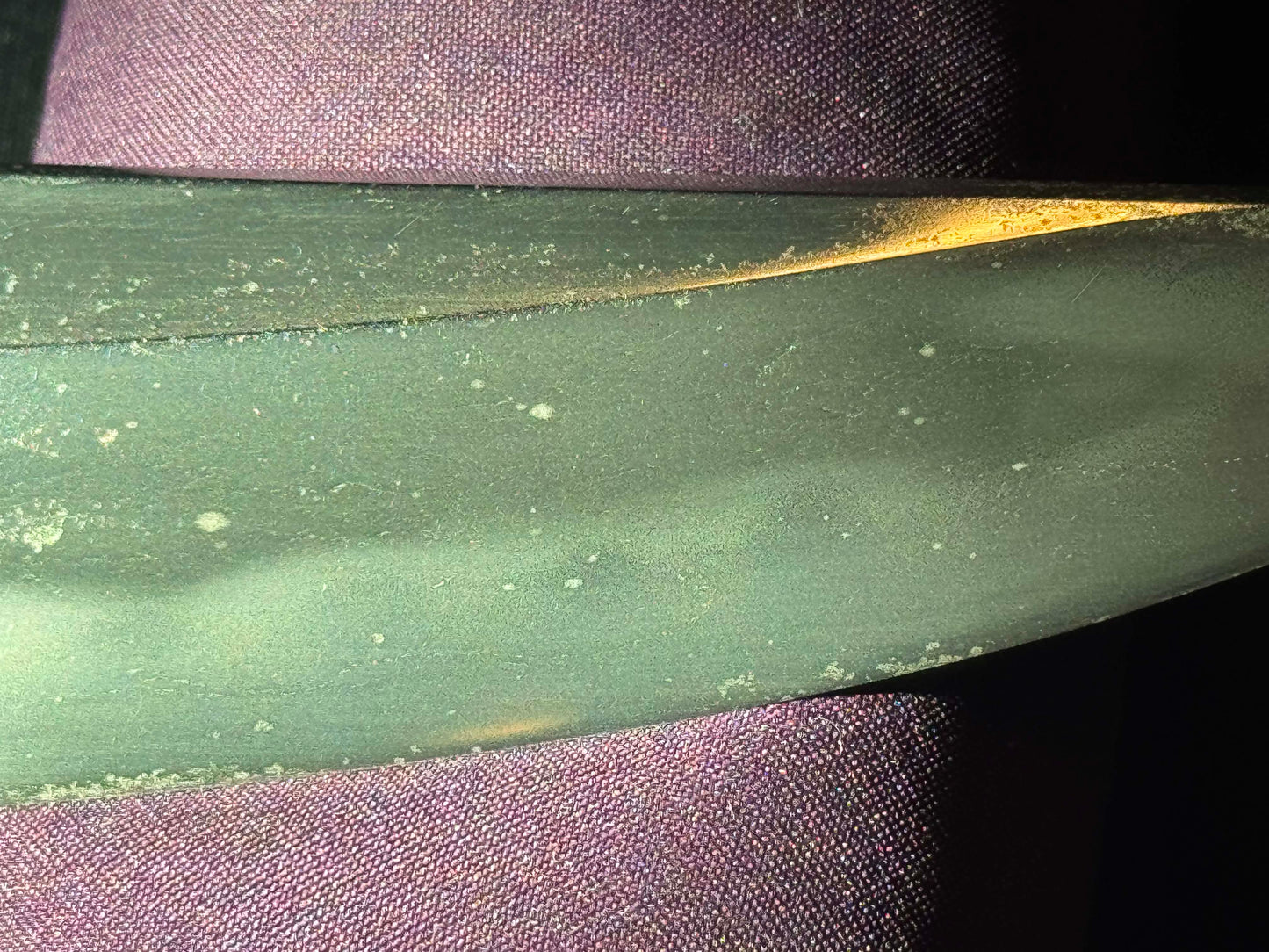 Antique Nihonto - Naginate naoshi in Wakizashi in Koshirae