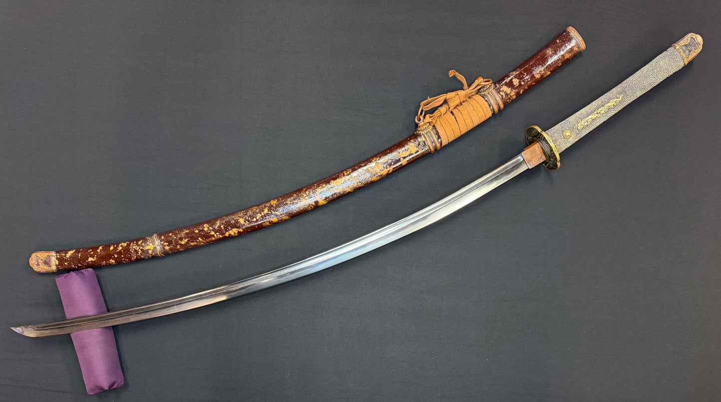 Antique Nihonto - VERY LONG, VERY CURVED Katana in Tachi Koshirae with SAIHA HAGIRE