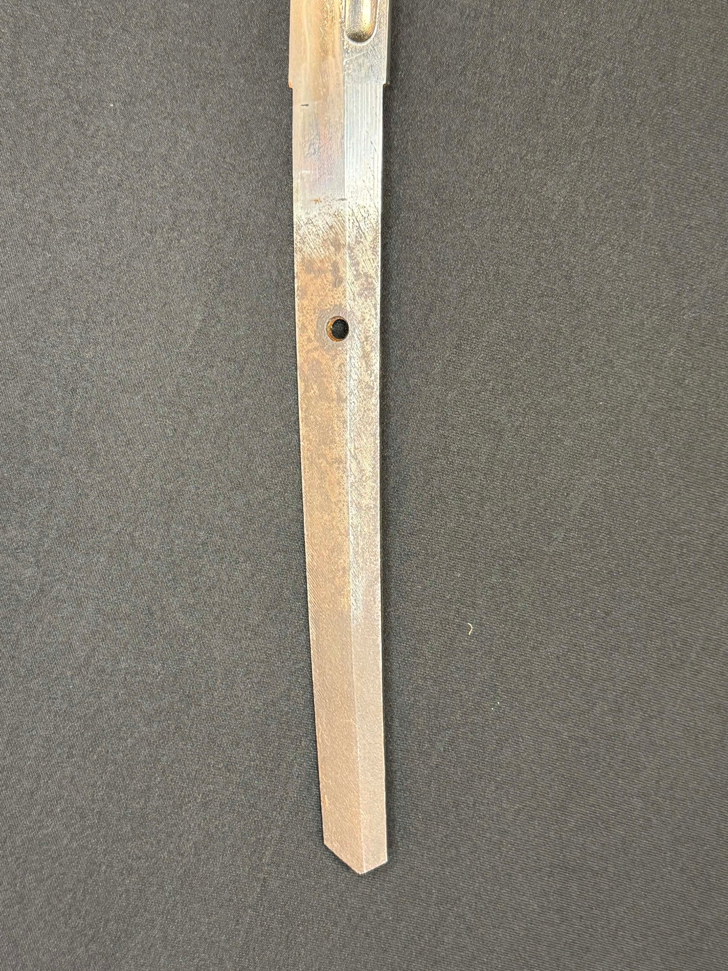 Antique Nihonto - VERY LONG, VERY CURVED Katana in Tachi Koshirae with SAIHA HAGIRE