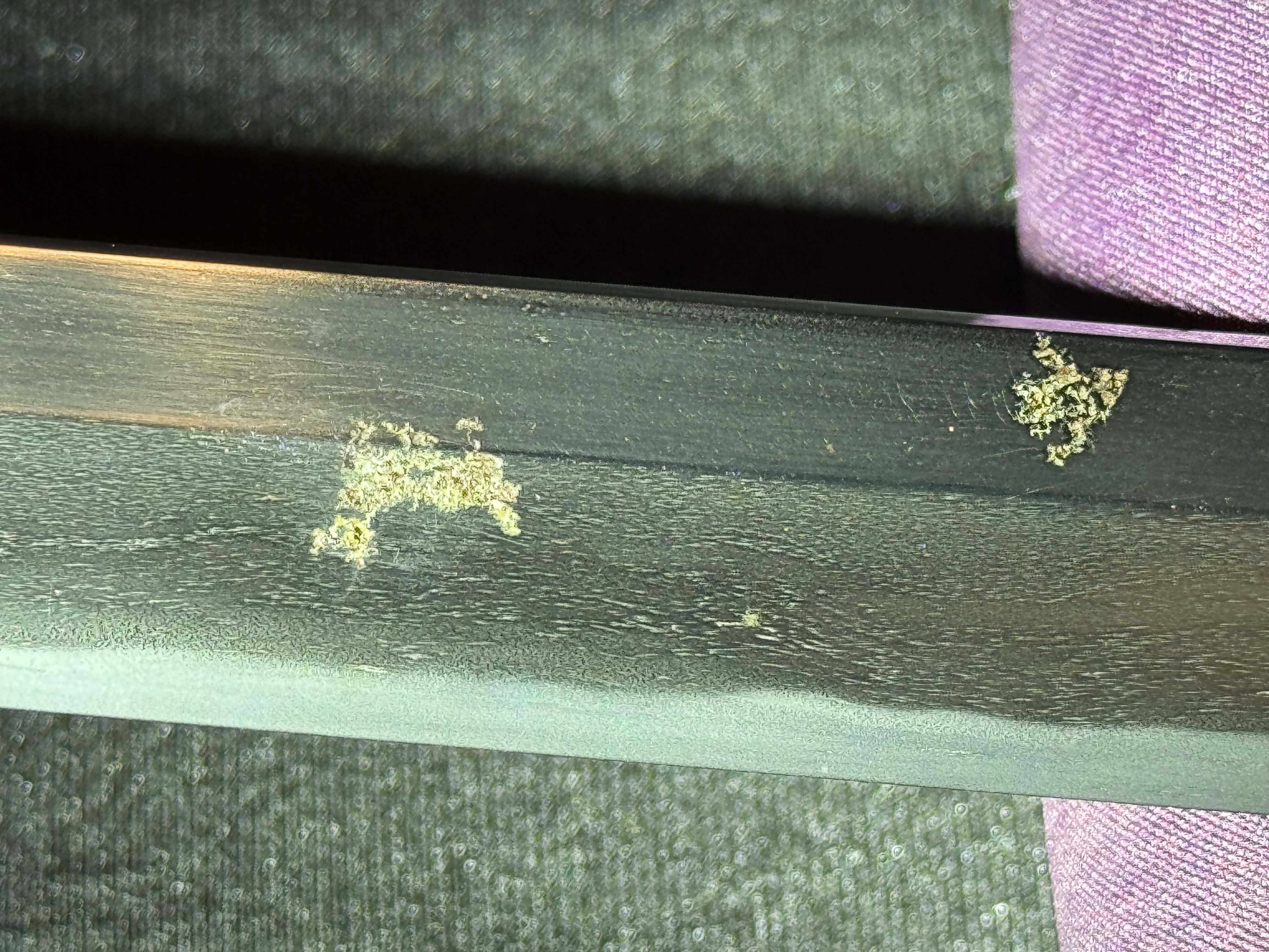 Antique Nihonto - Late Edo (150 years old) LONG Katana in Shirasaya - Signed Shohoken Yoshiyuki , NBTHK certified