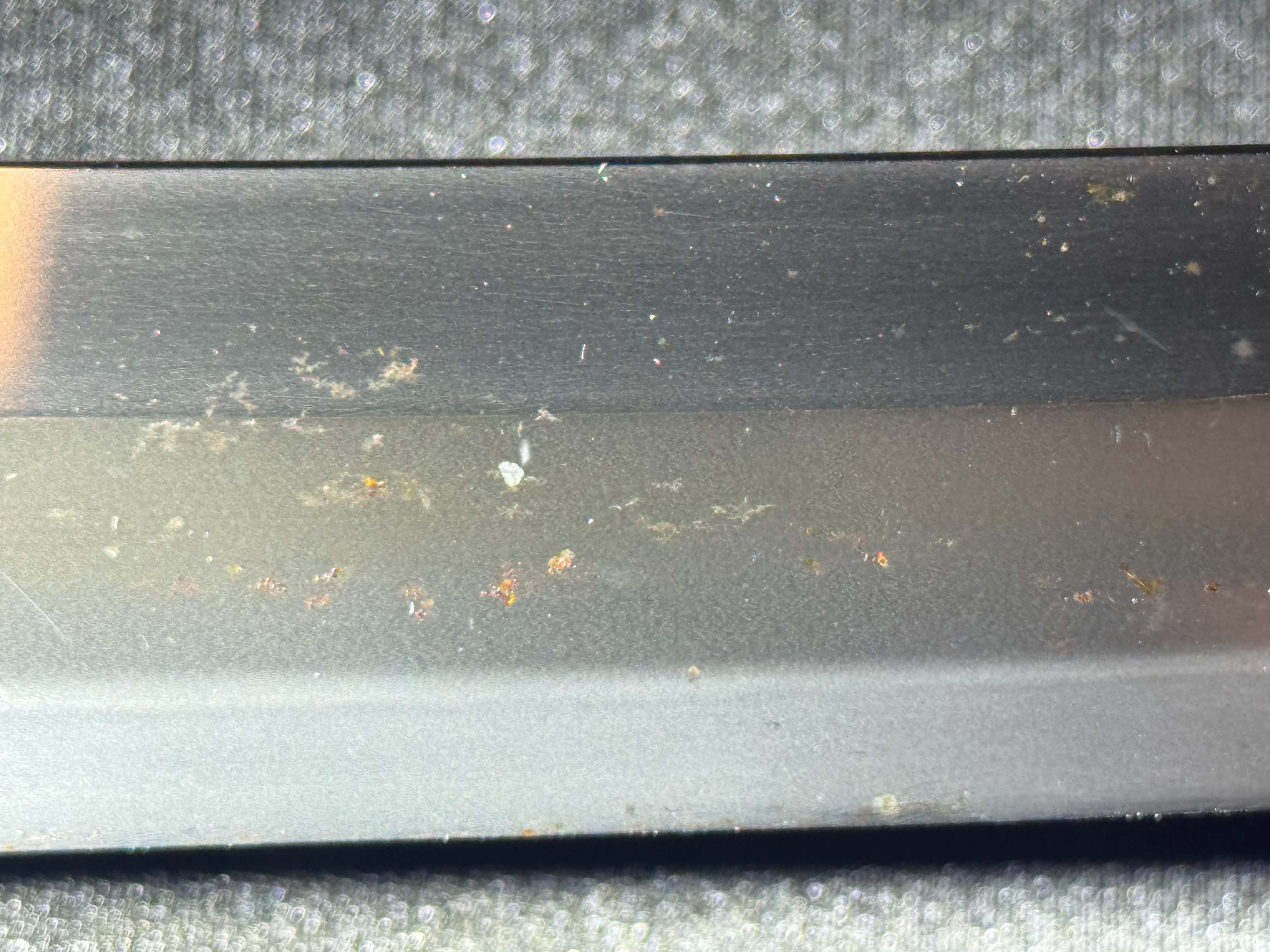Antique Nihonto - Wakizashi in Koshirae