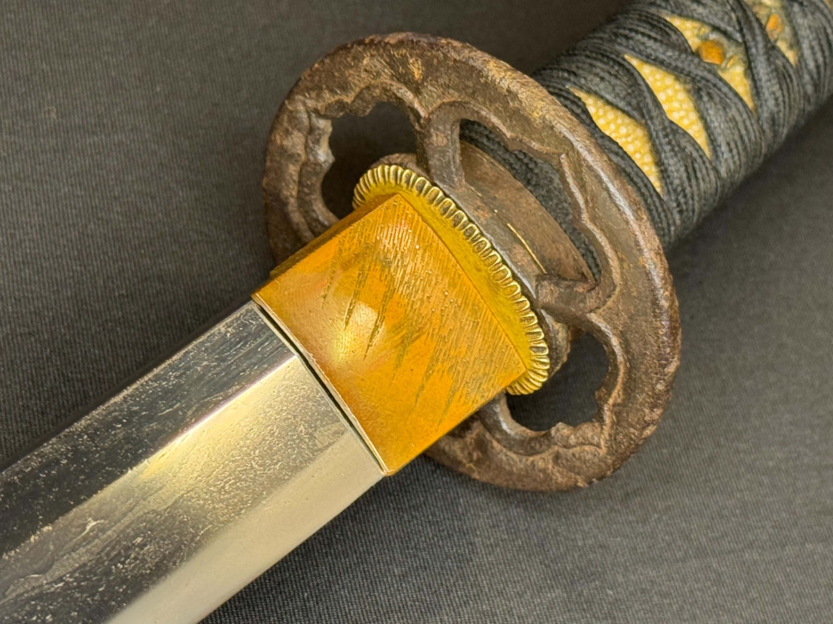 Antique Nihonto - HUGE Katana in Handachi Koshirae - Early Muromachi (600 years old) - NBTHK Attributed to Latter Hoju