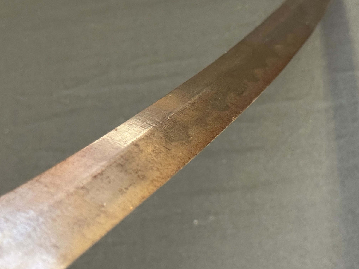 Antique Nihonto - Late Edo Wakizashi  with Shikomizue mounts (Stick Sword)