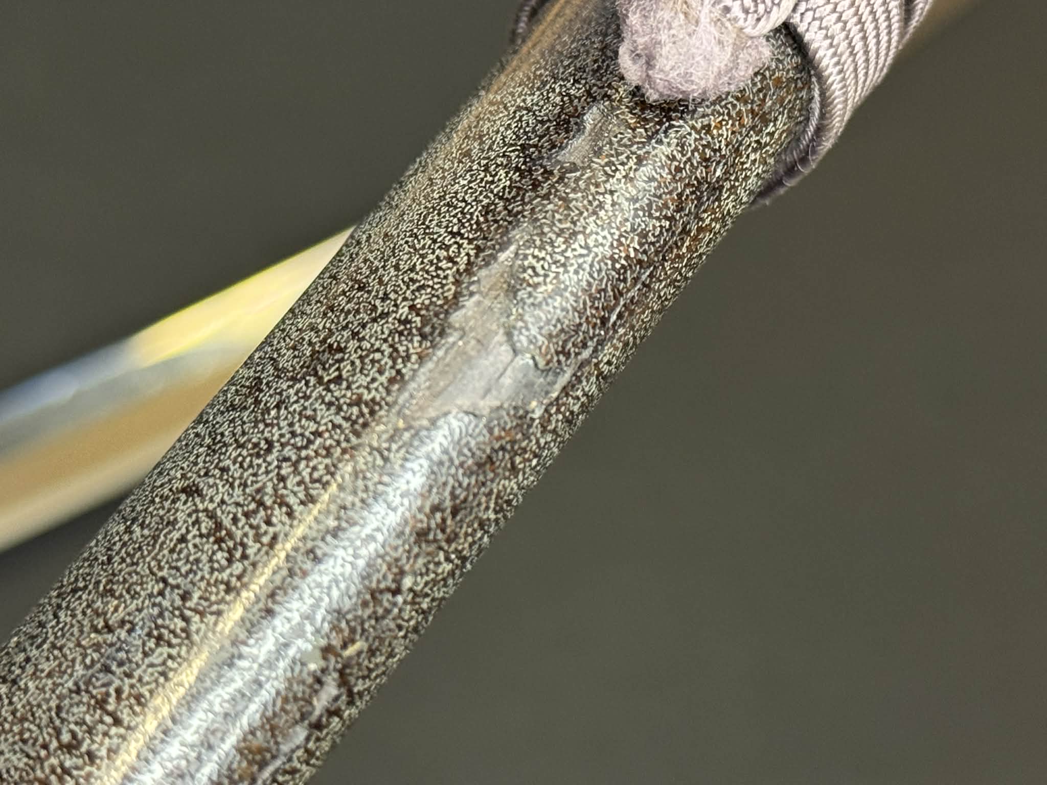 Antique Nihonto - Katana in Handachi Koshirae