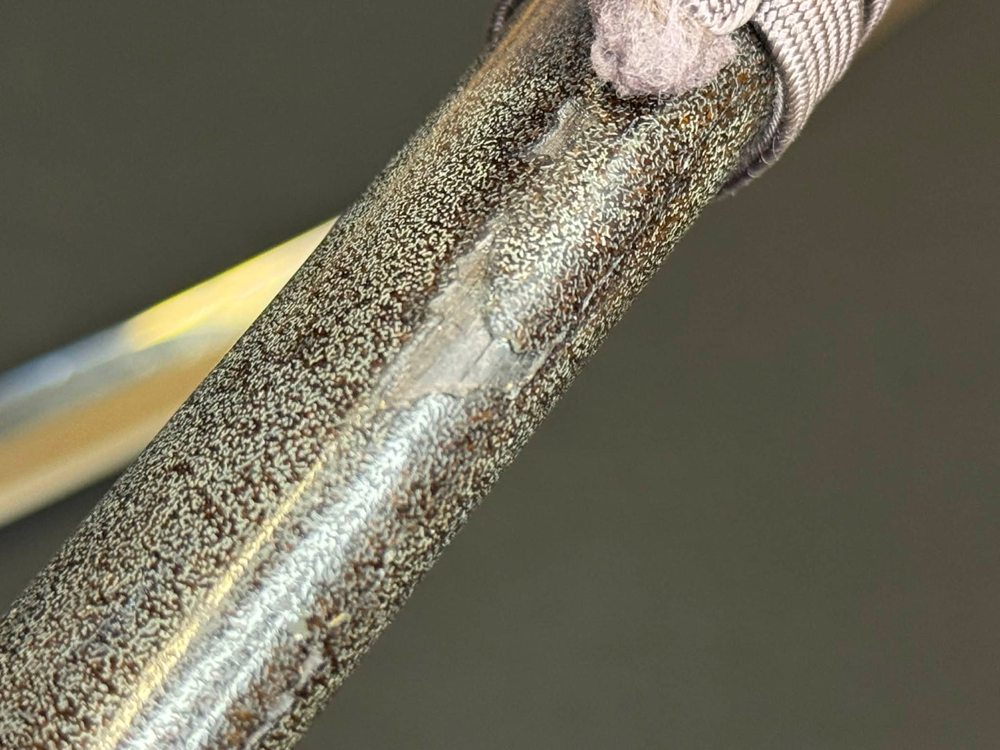 Antique Nihonto - Katana in Handachi Koshirae