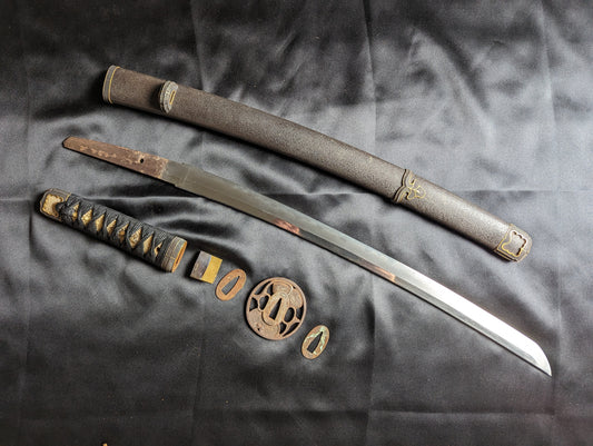 Antique Nihonto - Handachi Wakizashi - Edo Period