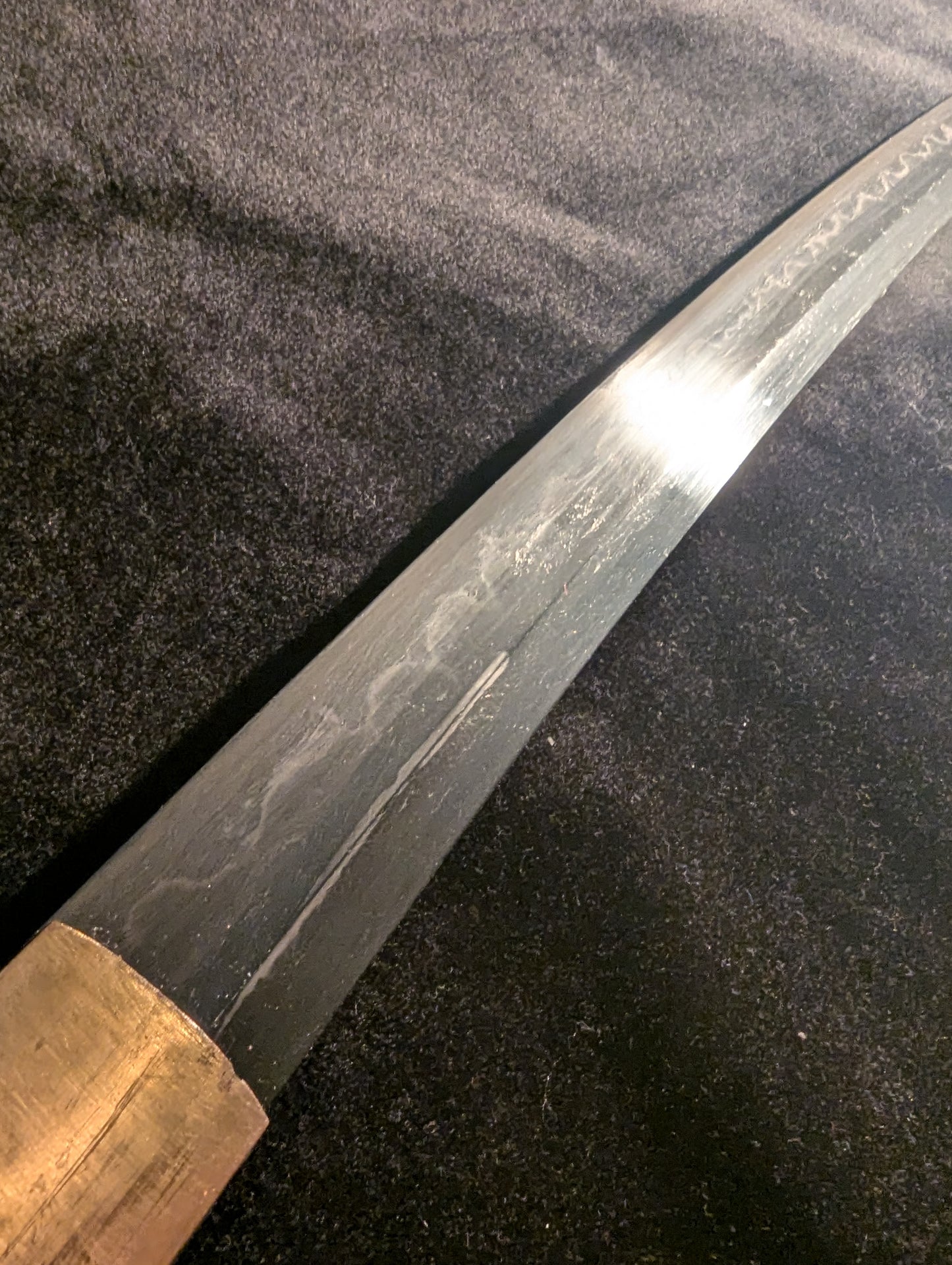 Antique Nihonto -  Katana in  Koshirae, late Muromachi (425+ years old) - signed Moriyuki, NBTHK Hozon attributed to Taira Takada