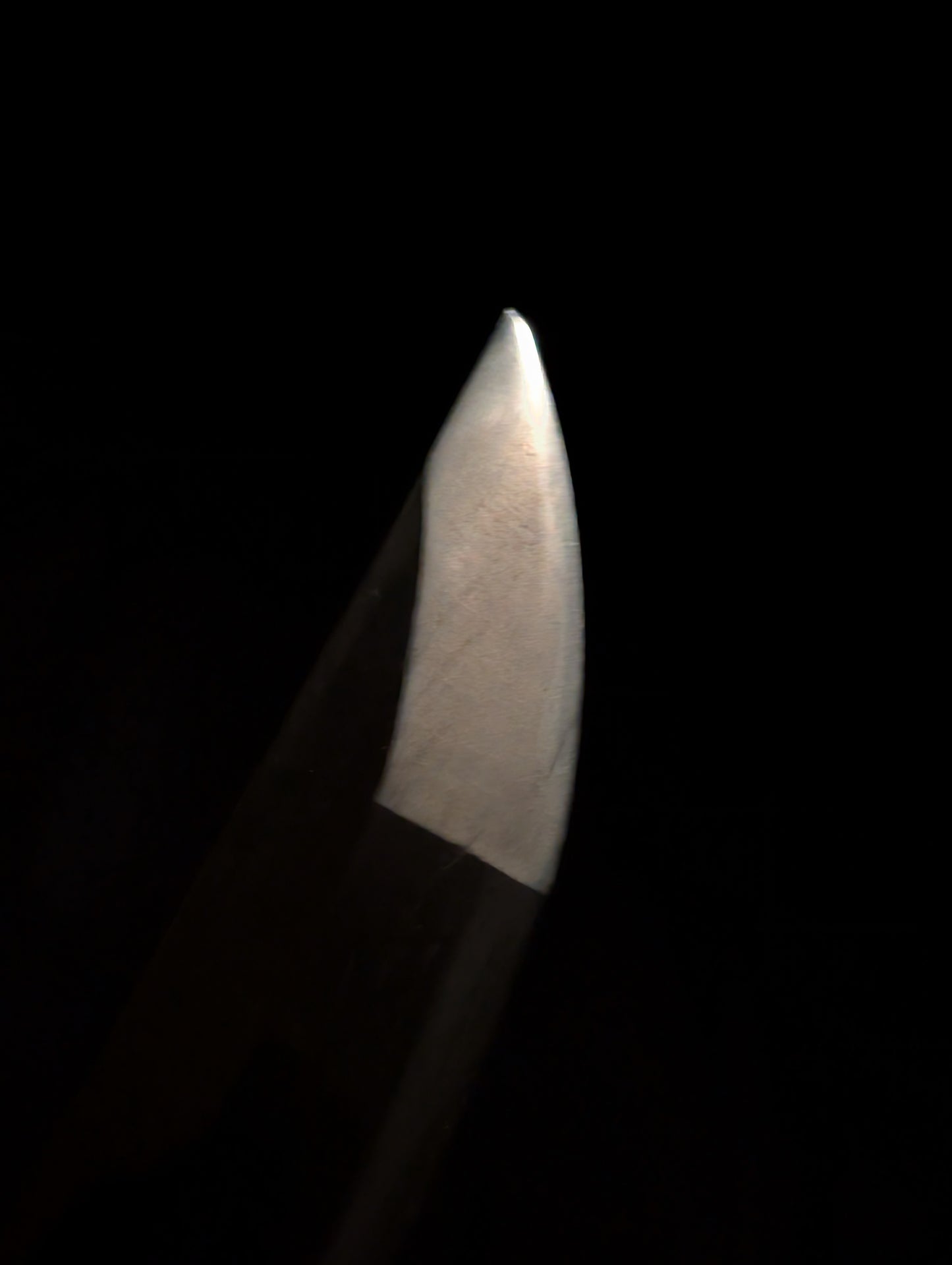 Antique Nihonto - HUGE Tachi with Katana Koshirae - Early Muromachi (600 years old) - NBTHK Attributed to Latter Hoju