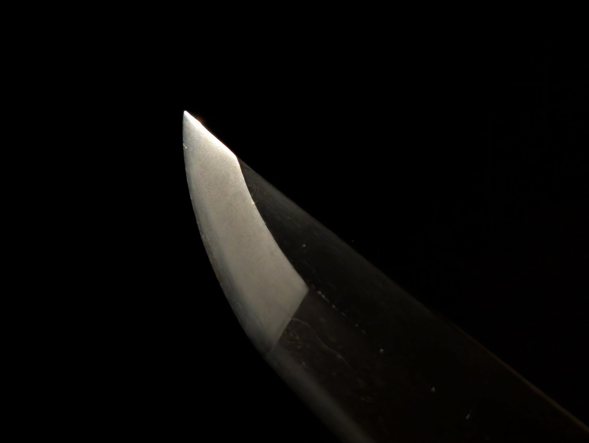 Antique Nihonto - HUGE Tachi with Katana Koshirae - Early Muromachi (600 years old) - NBTHK Attributed to Latter Hoju