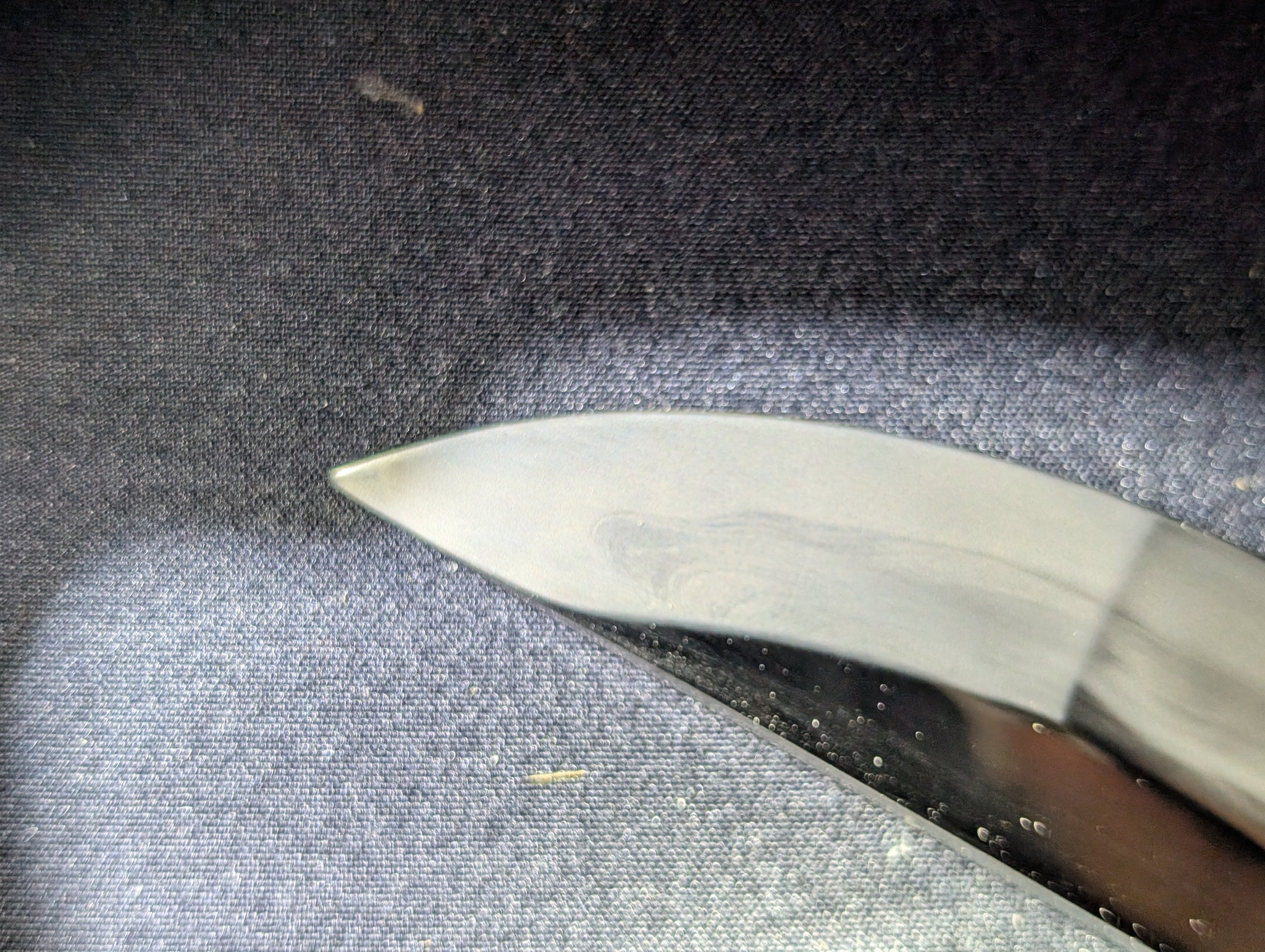 Cloudhammer Tamahagane Kazari Tachi - rayskin saya