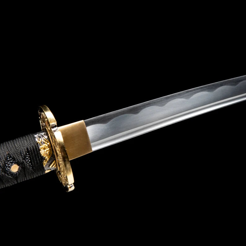 Dragonspring Katana - Black Samurai - 1060 Steel